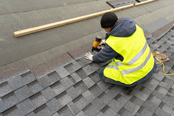 Best Gutter Installation and Roofing  in Newport, TN