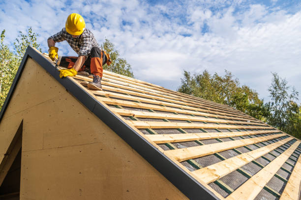 Roof Gutter Cleaning in Newport, TN